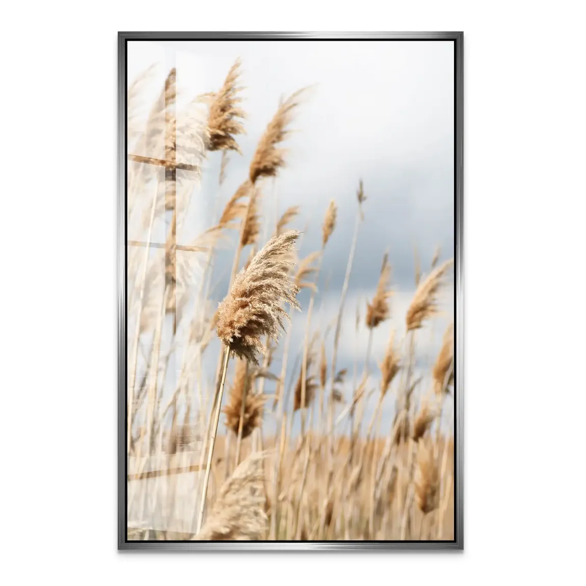 Whispering Reeds Acrylglas Bild - INGALERIE | Dein Onlineshop für moderne Wandbilder