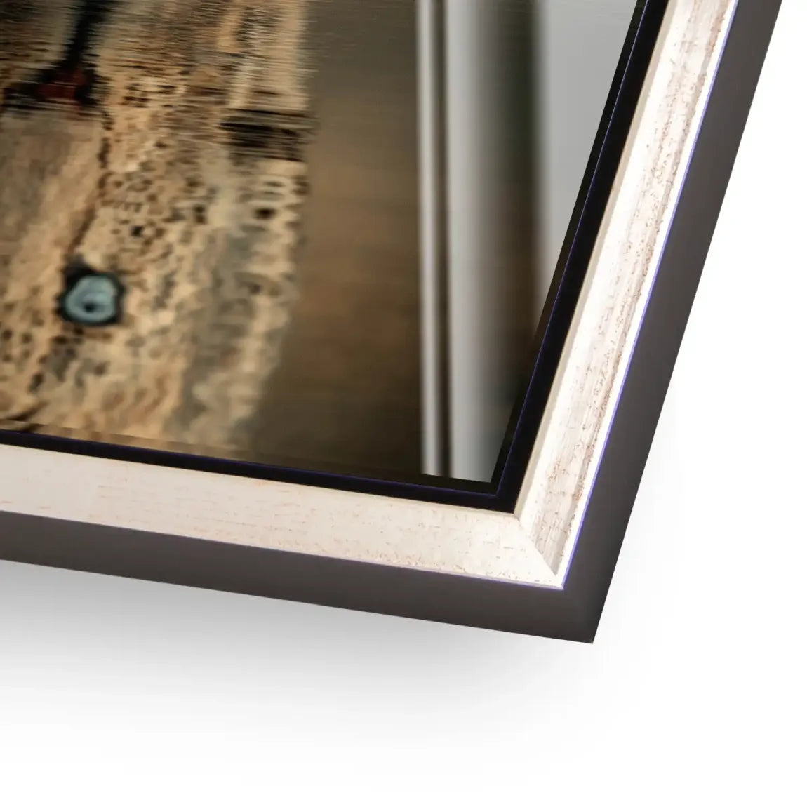 Silent Leopard Acrylglasbild