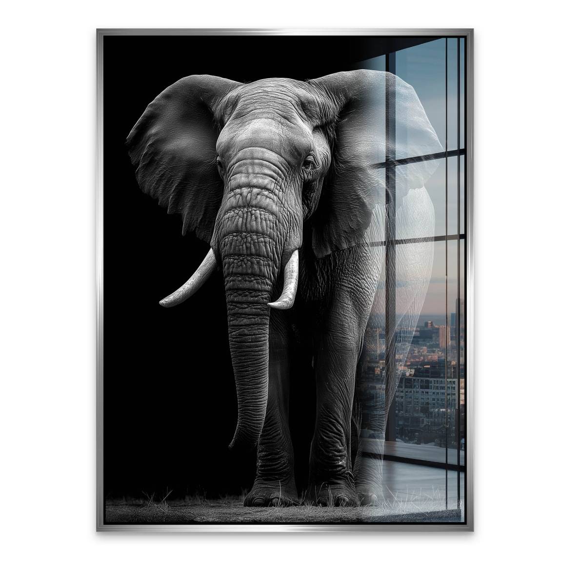 Black Elefant Acrylglasbild