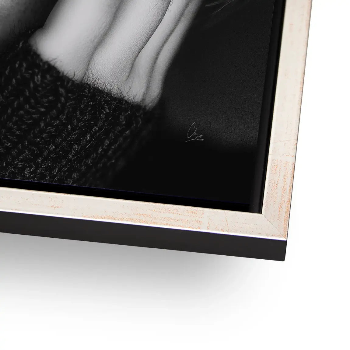 Silent Graze Aludibond Bild