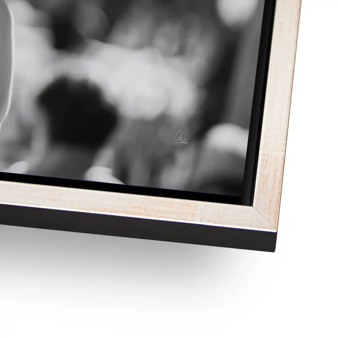 Audrey Hepburn Italia Aludibond Bild