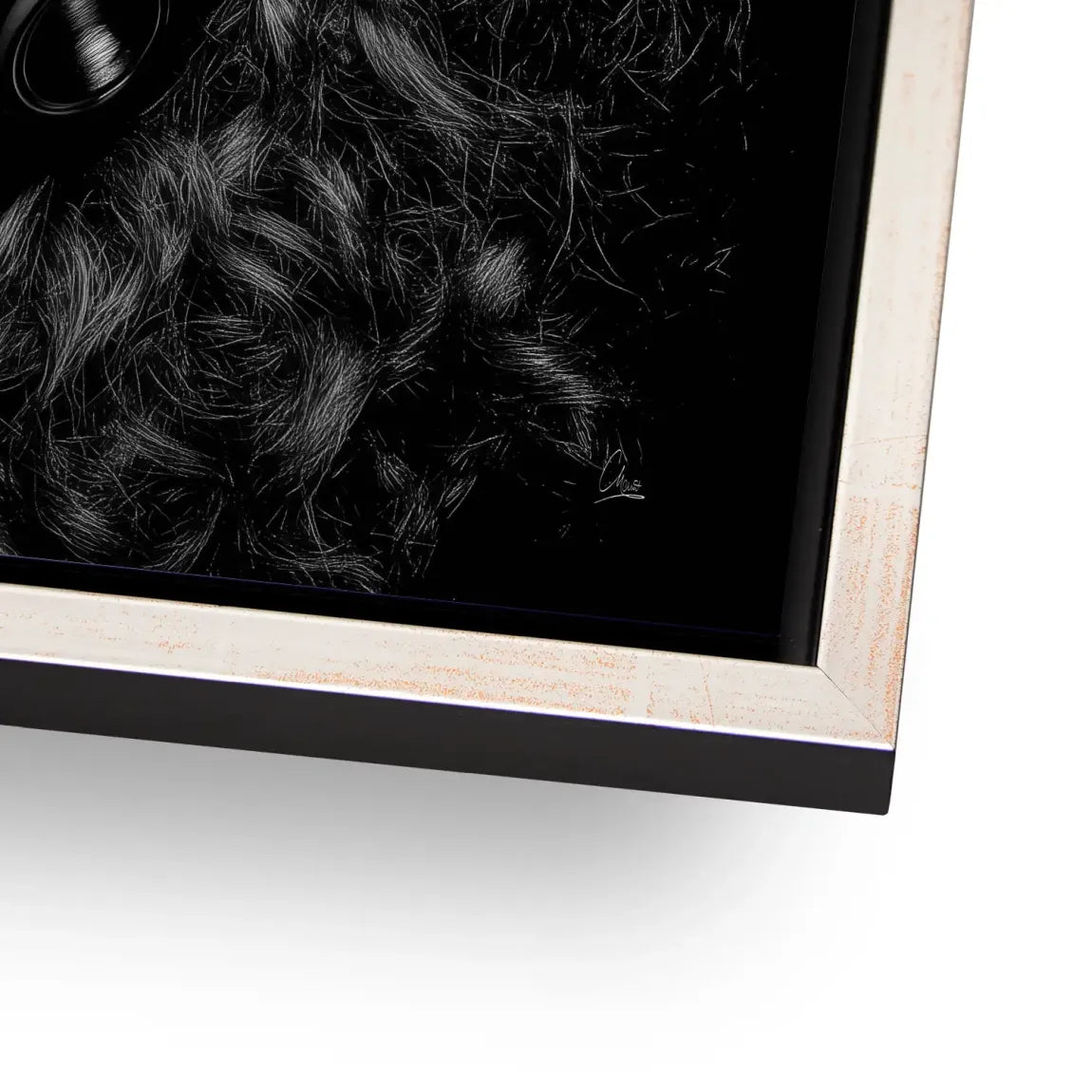 Midnight Harmony Aludibond Bild