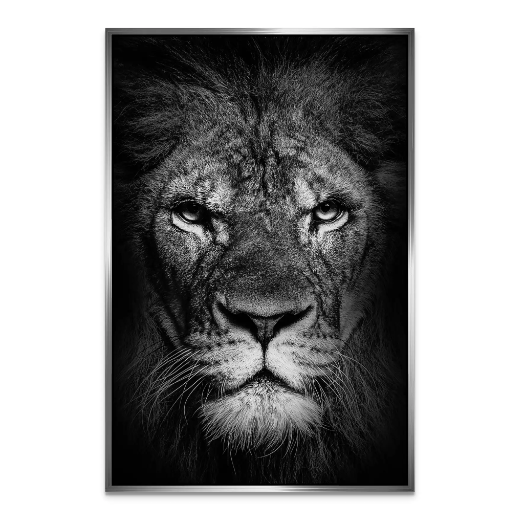 Lion Head AluDibond Bild INGALERIE