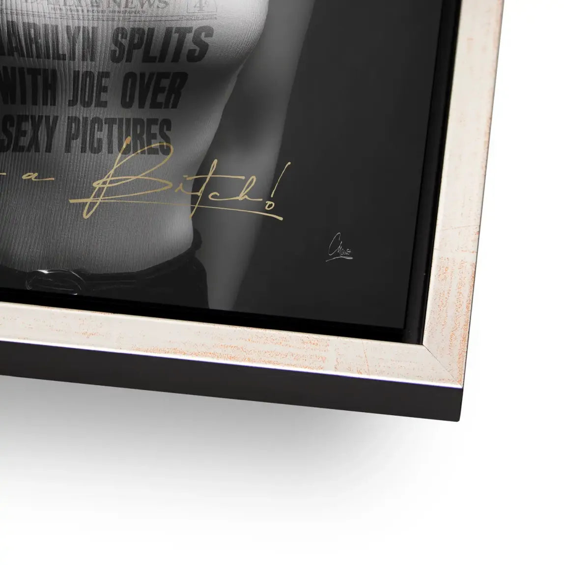 Marilyn Skandal Alu Dibond Bild