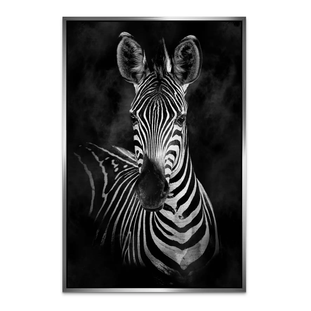 Zebra Black Style AluDibond Gebürstet INGALERIE