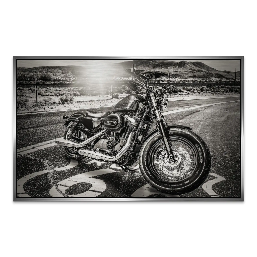 Route Heritage Edition – Harley Alu gebürstet Bild INGALERIE