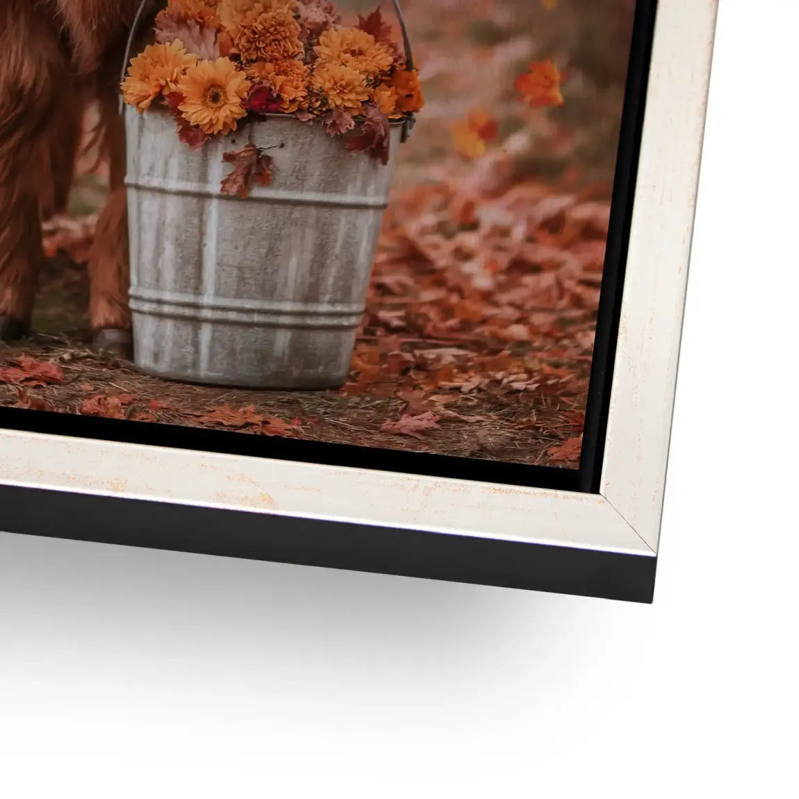 Herbstliebe Highland Alu Gebürstet Bild