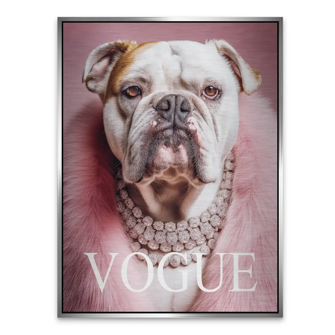 Bulldogge Vogue Alu Gebürstet Bild