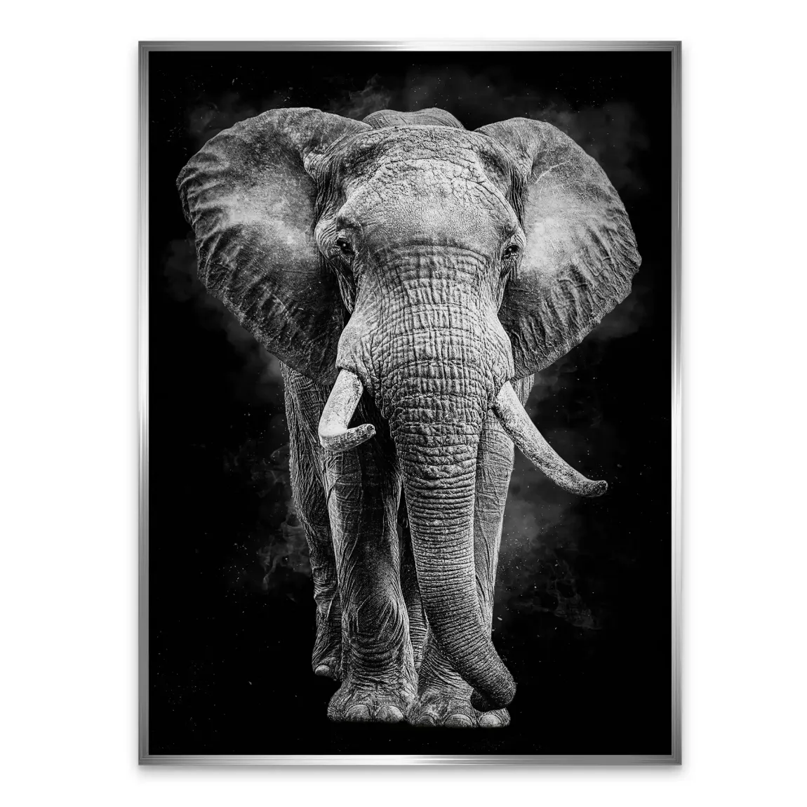 Elefant Noir Aluminiumbild gebürstet