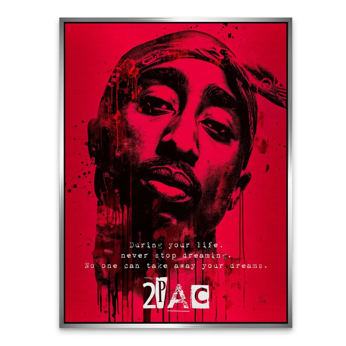 Red Legend Alu Gebürstet Bild