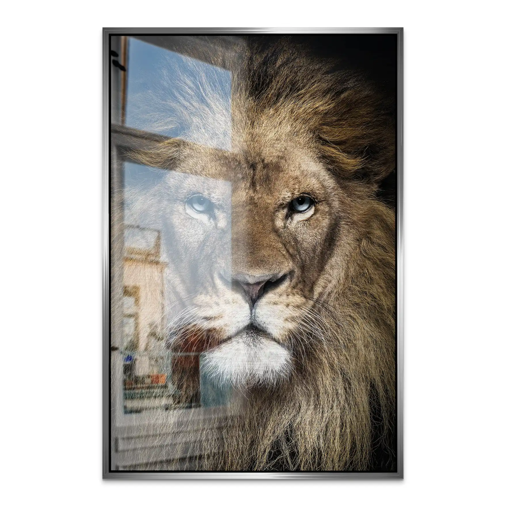 Lion Portrait AluDibond Gebürstet INGALERIE