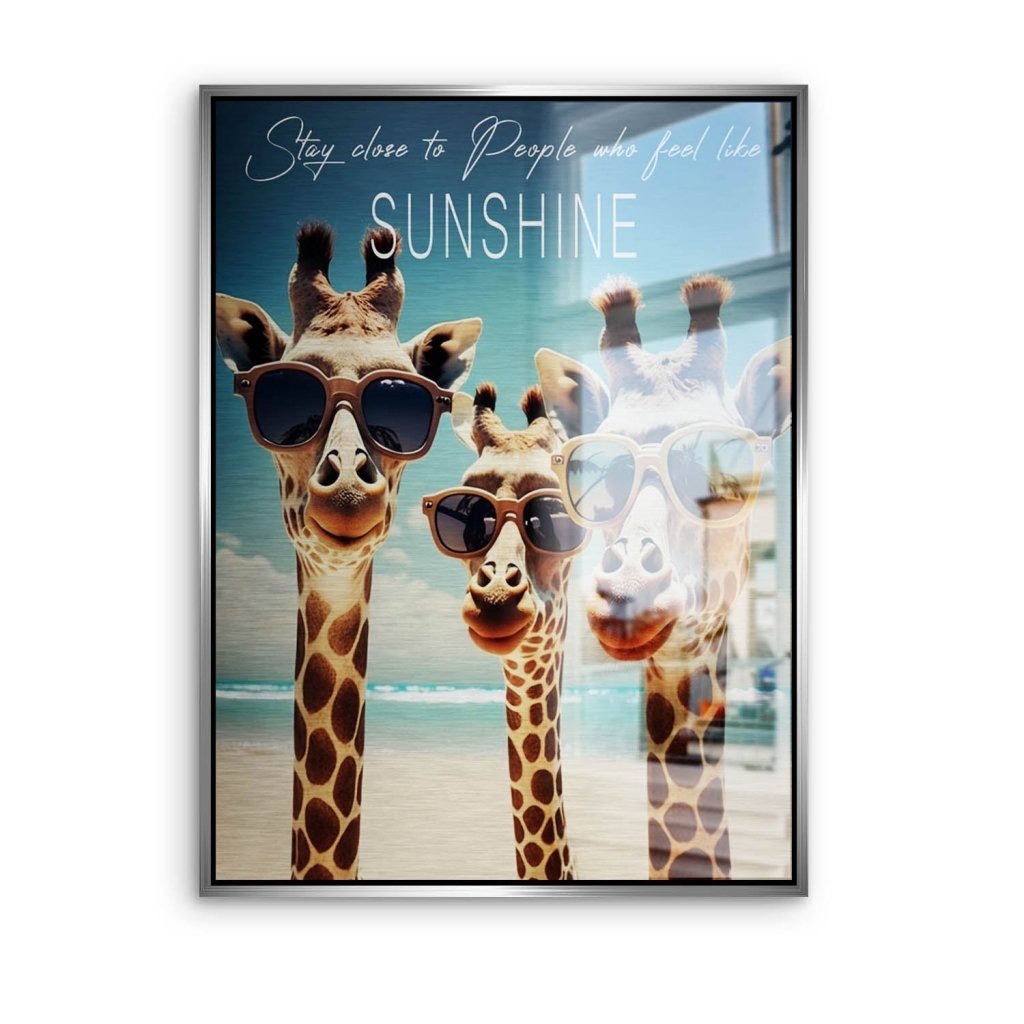 Giraffe Sunshine Aludibond Brush Bild INGALERIE