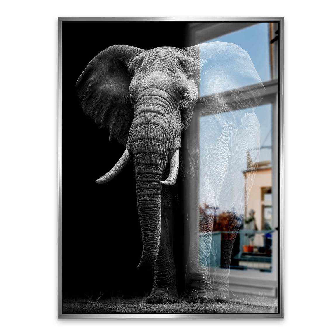 Black Elefant Aluminiumbild gebürstet