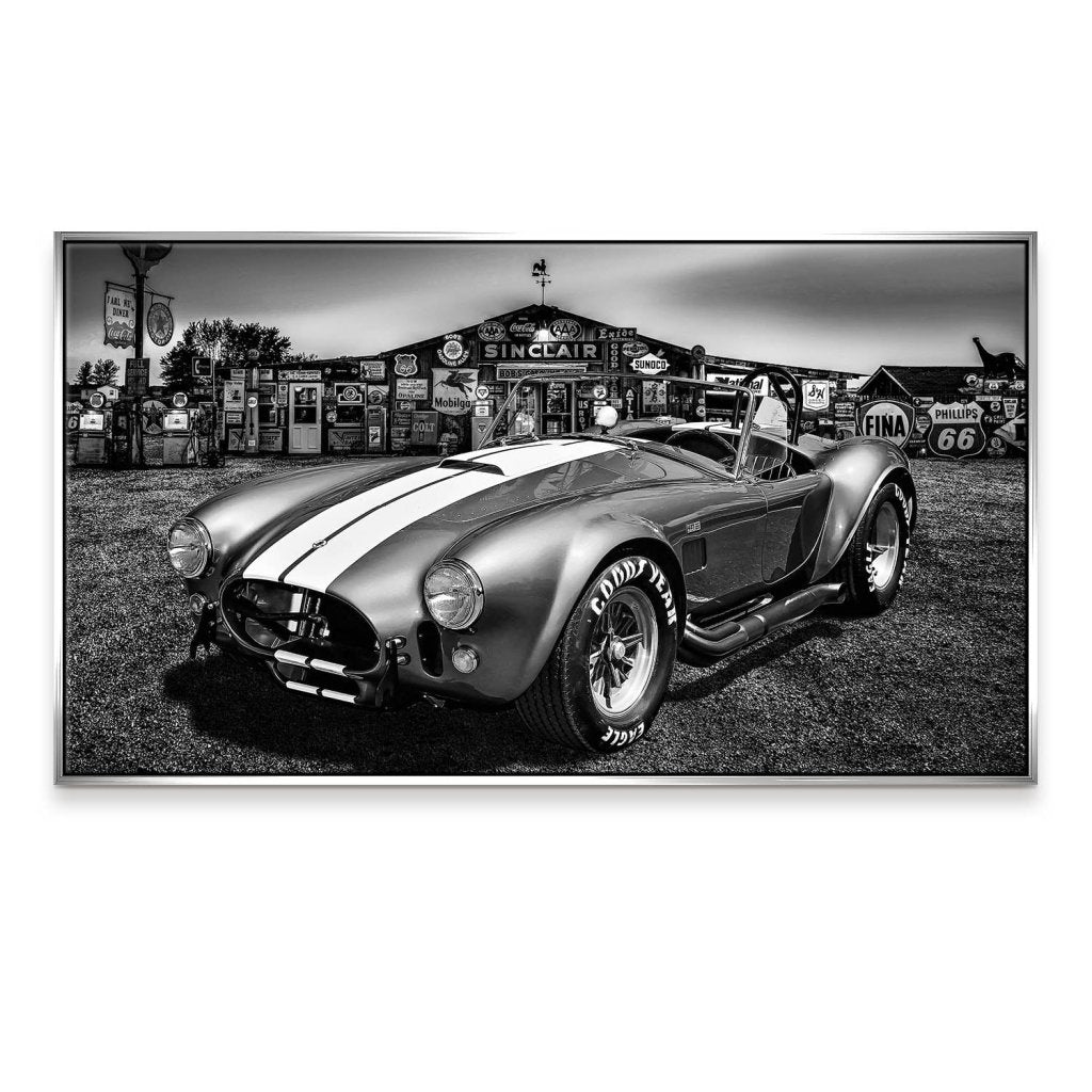 AC Cobra Abstrakt Silver Leinwand Bild INGALERIE