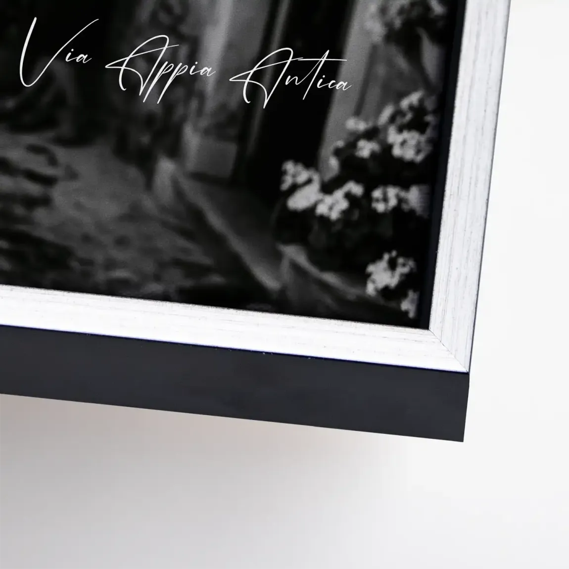 Sophia Loren Roma Leinwand Bild