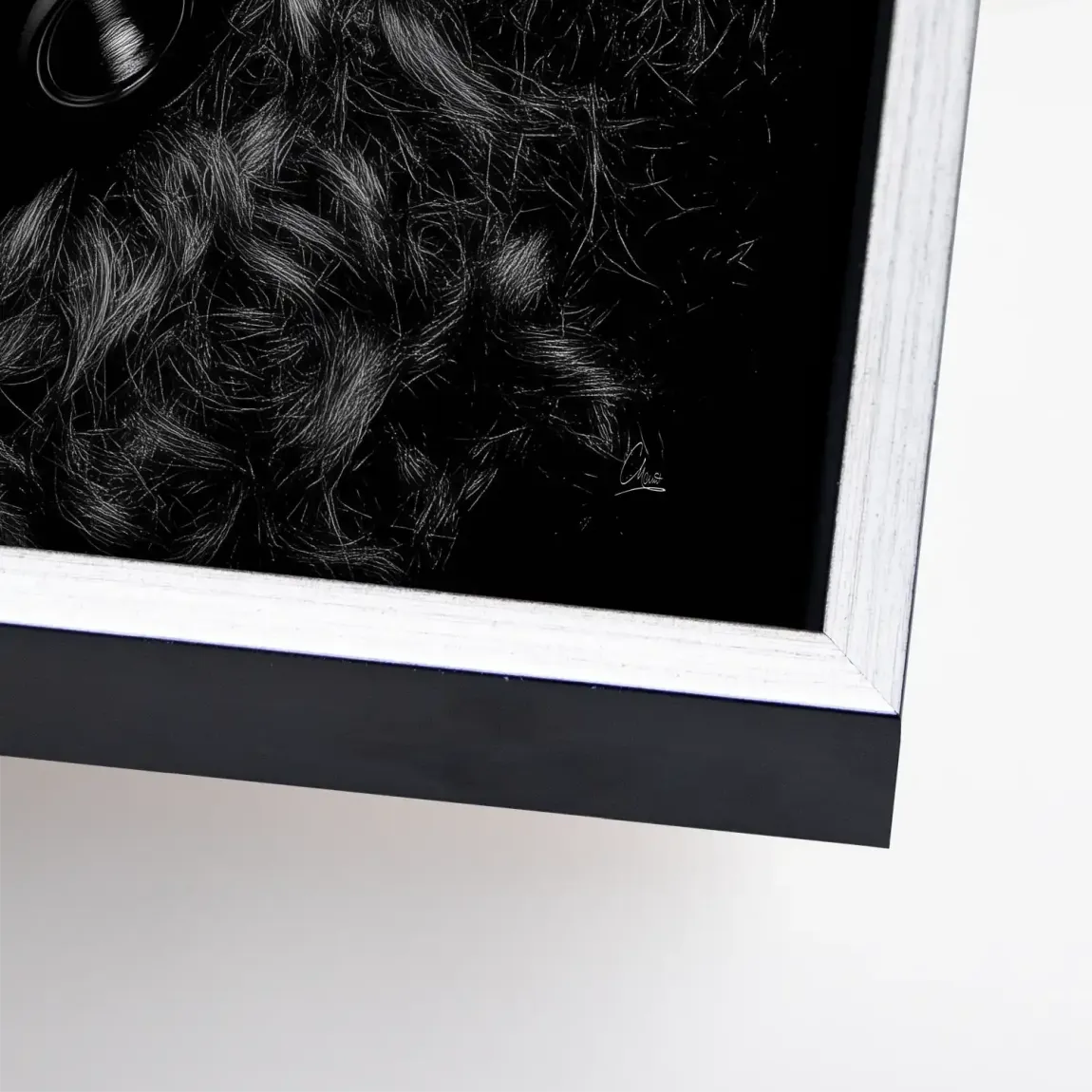 Midnight Harmony Leinwand Bild