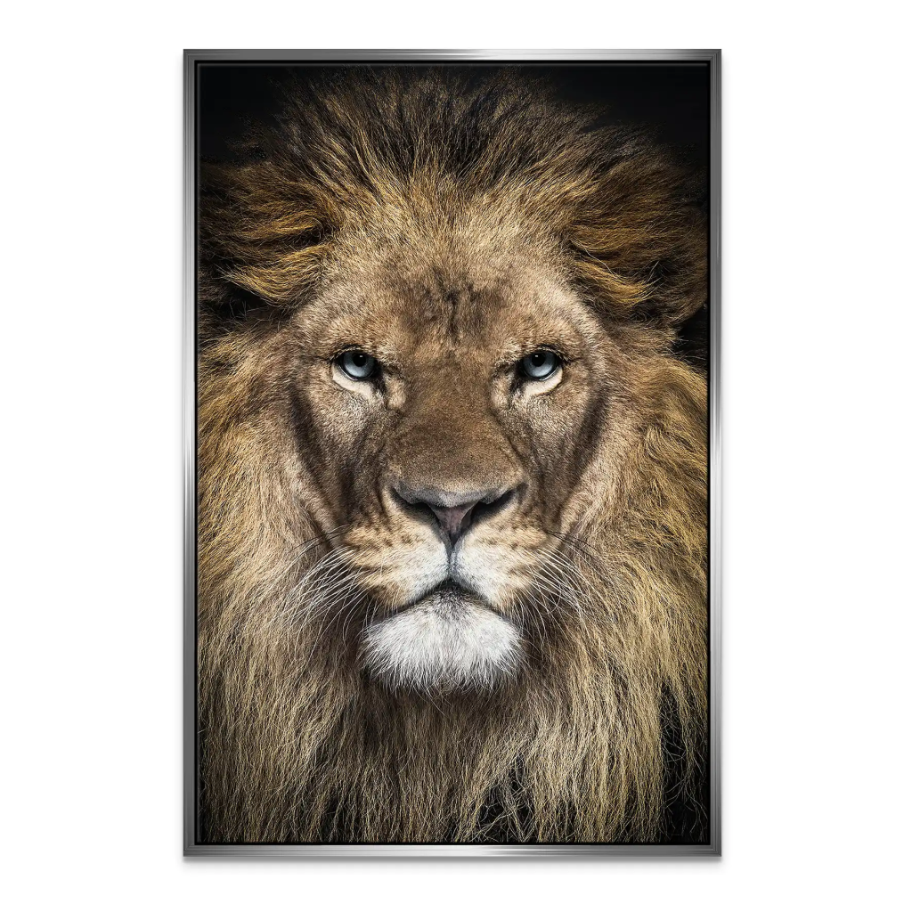 Lion Portrait Leinwand Bild INGALERIE