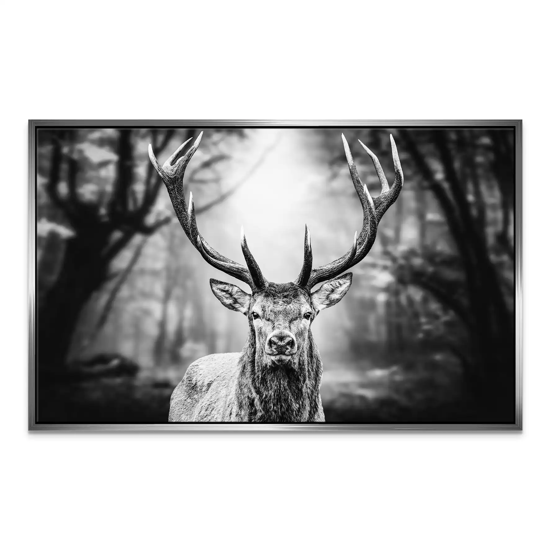 Hirsch Black And White Leinwand Bild INGALERIE