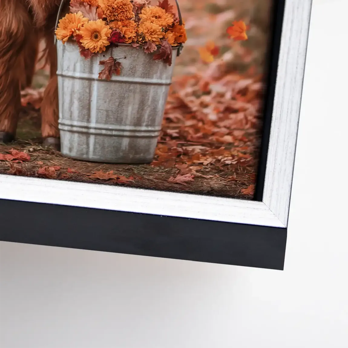 Herbstliebe Highland Leinwand Bild