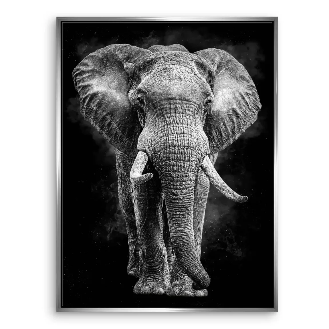 Elefant Noir Leinwand Bild