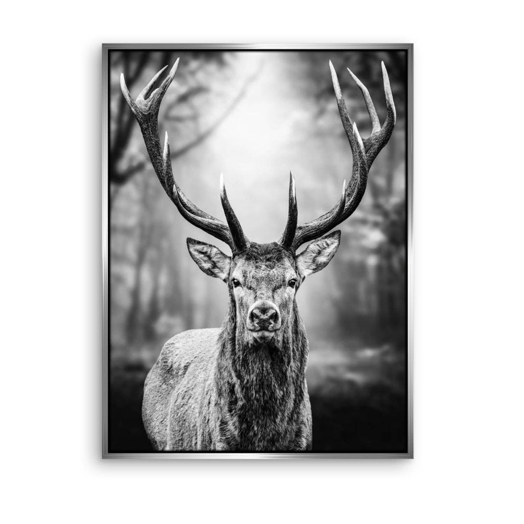 Hirsch Black Forest Leinwand Bild INGALERIE