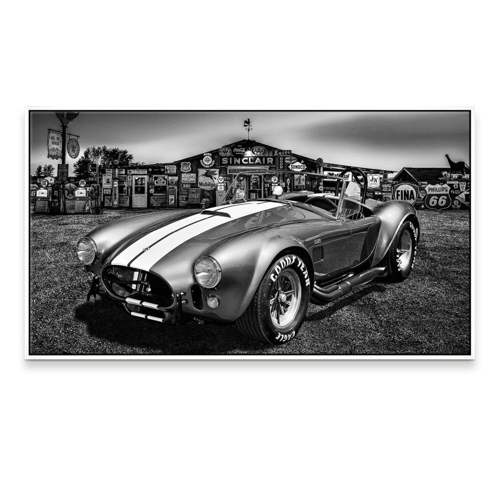 AC Cobra Abstrakt Silver Leinwand Bild INGALERIE