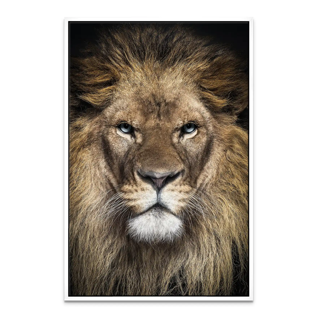 Lion Portrait Leinwand Bild INGALERIE