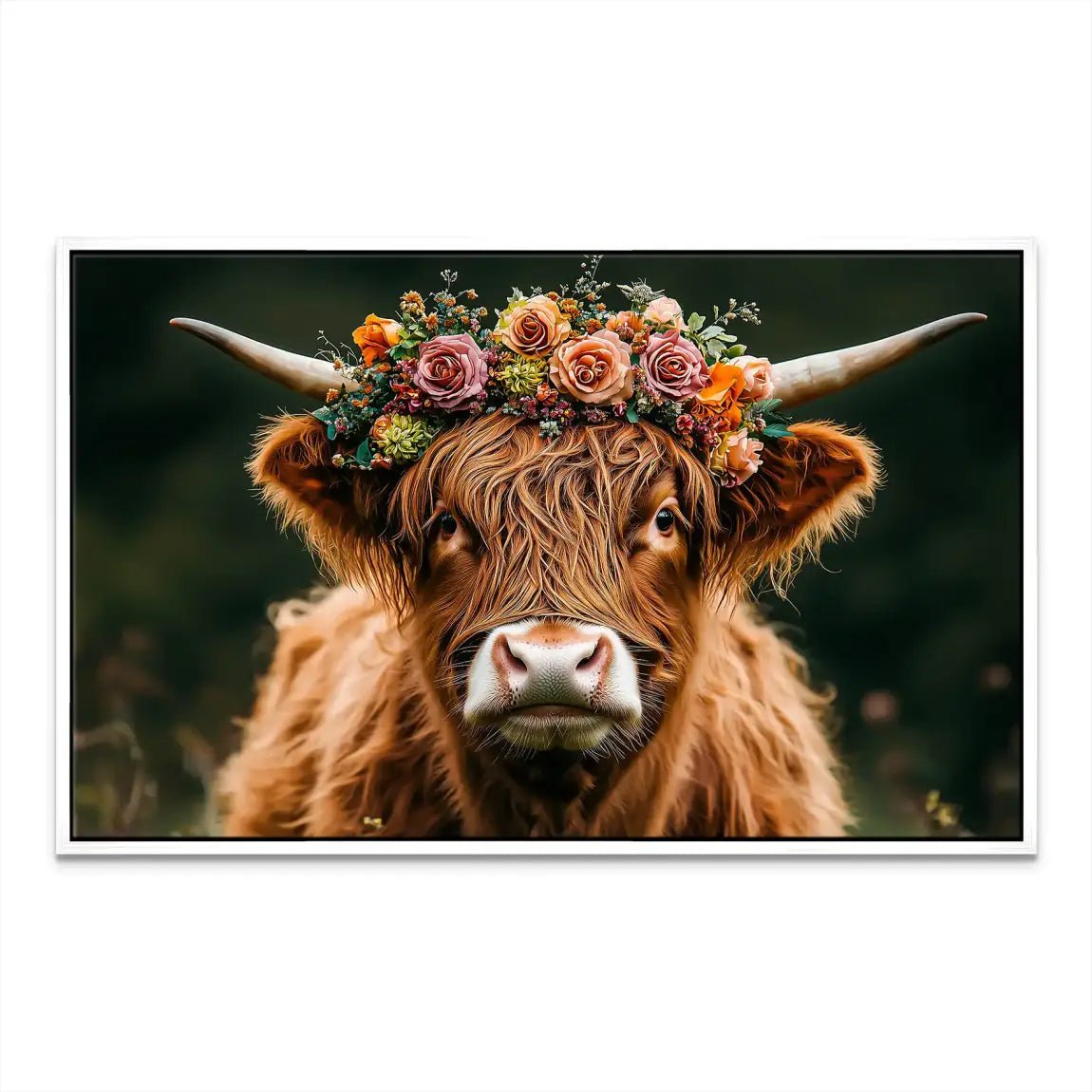 Highland Cow Leinwand Bild INGALERIE