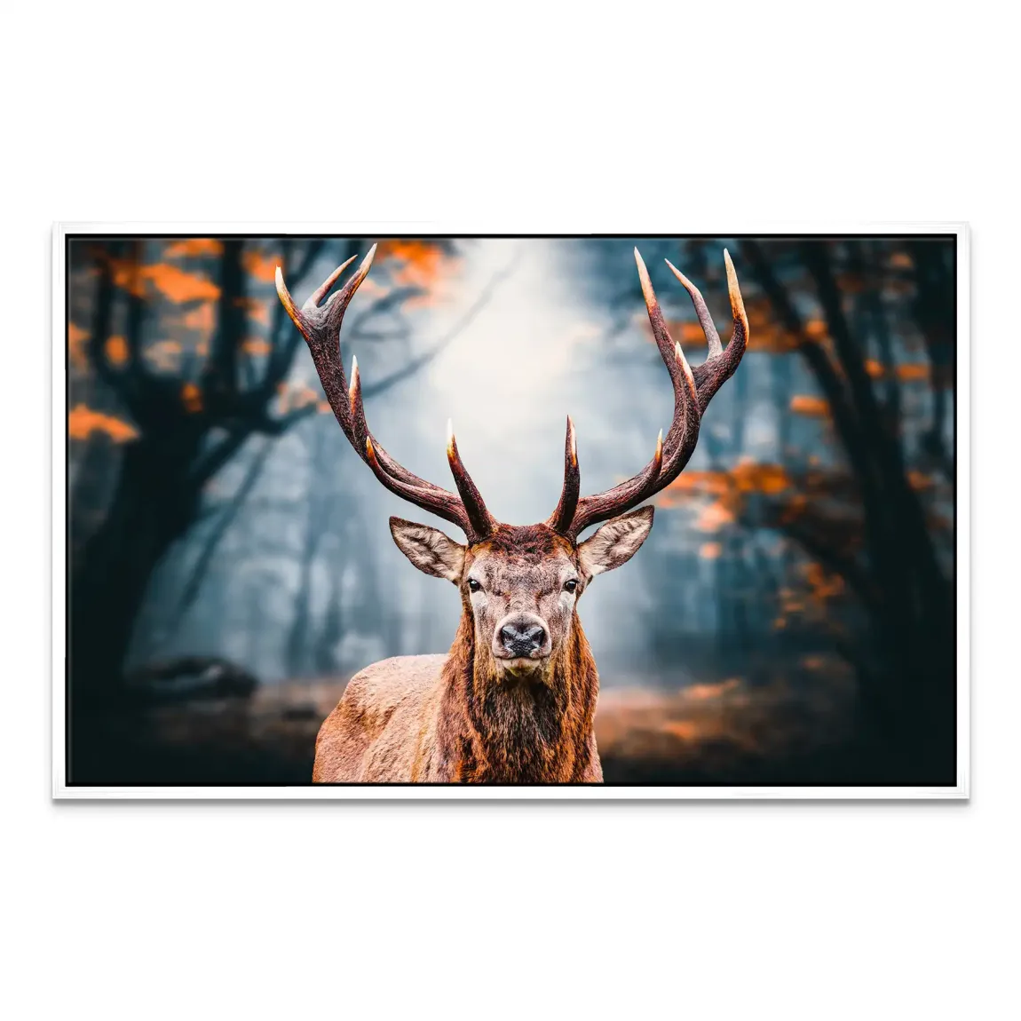 Hirsch im Wald Leinwand Bild