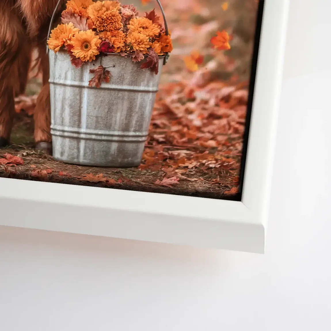 Herbstliebe Highland Leinwand Bild