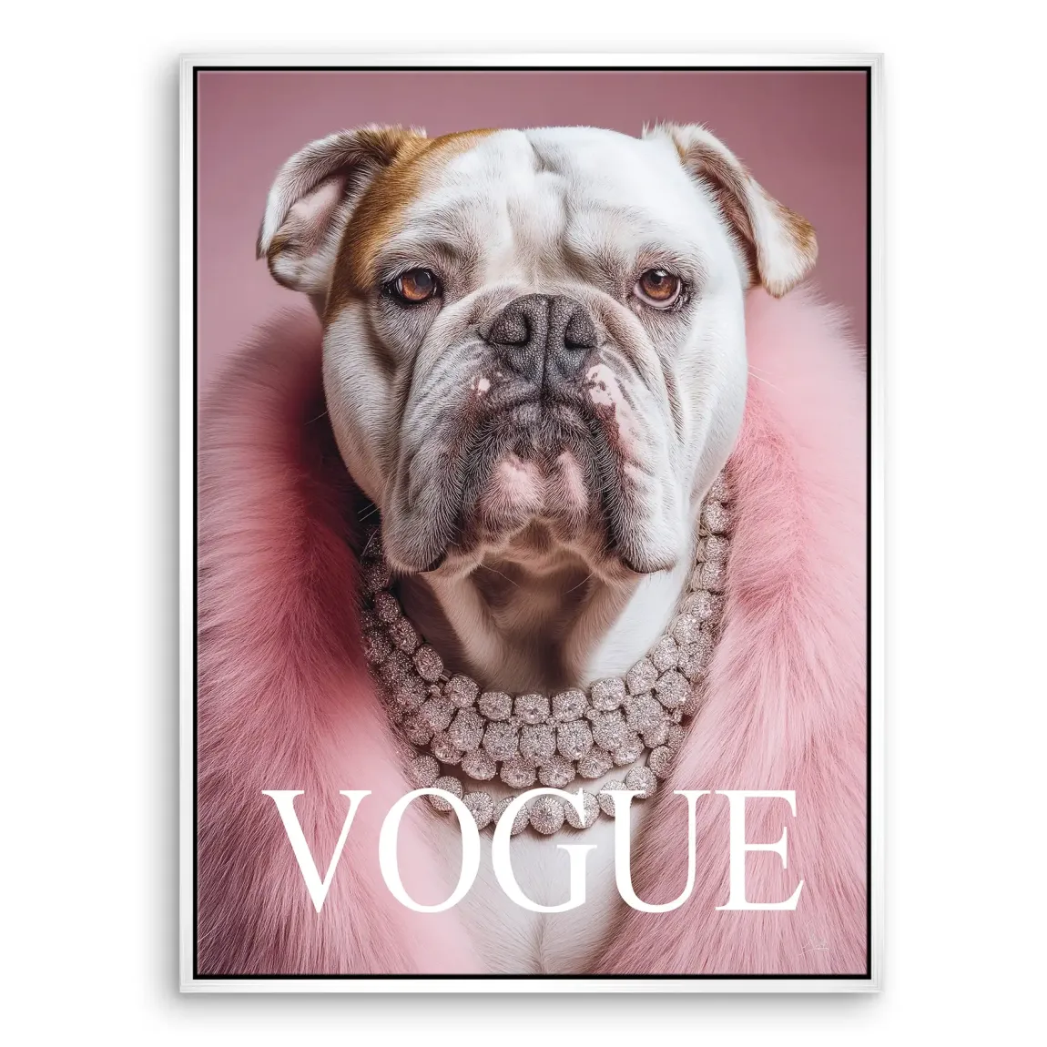 Bulldogge Vogue Leinwand Bild
