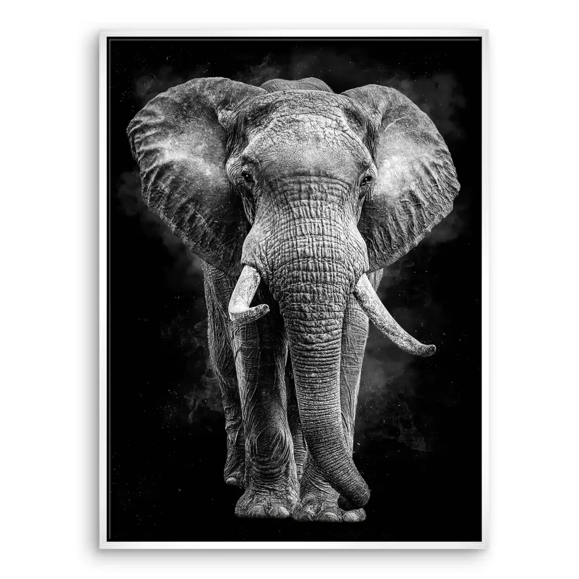 Elefant Noir Leinwand Bild